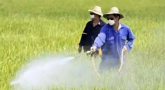 El impacto de las condiciones climáticas en los pesticidas agrícolas
